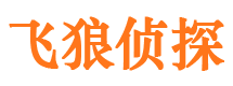 东兴市调查公司